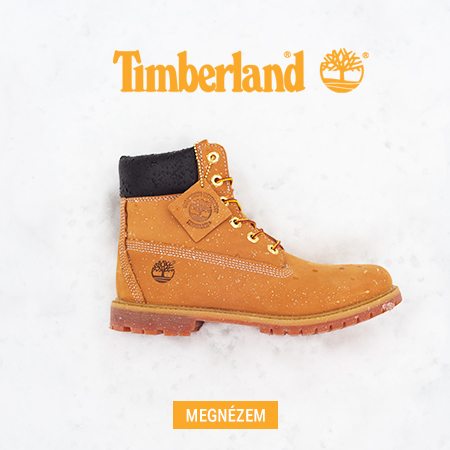 timberland_20241122